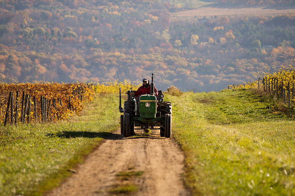 tractor driving through vineyard road