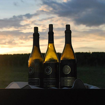 three wine bottles at sunset