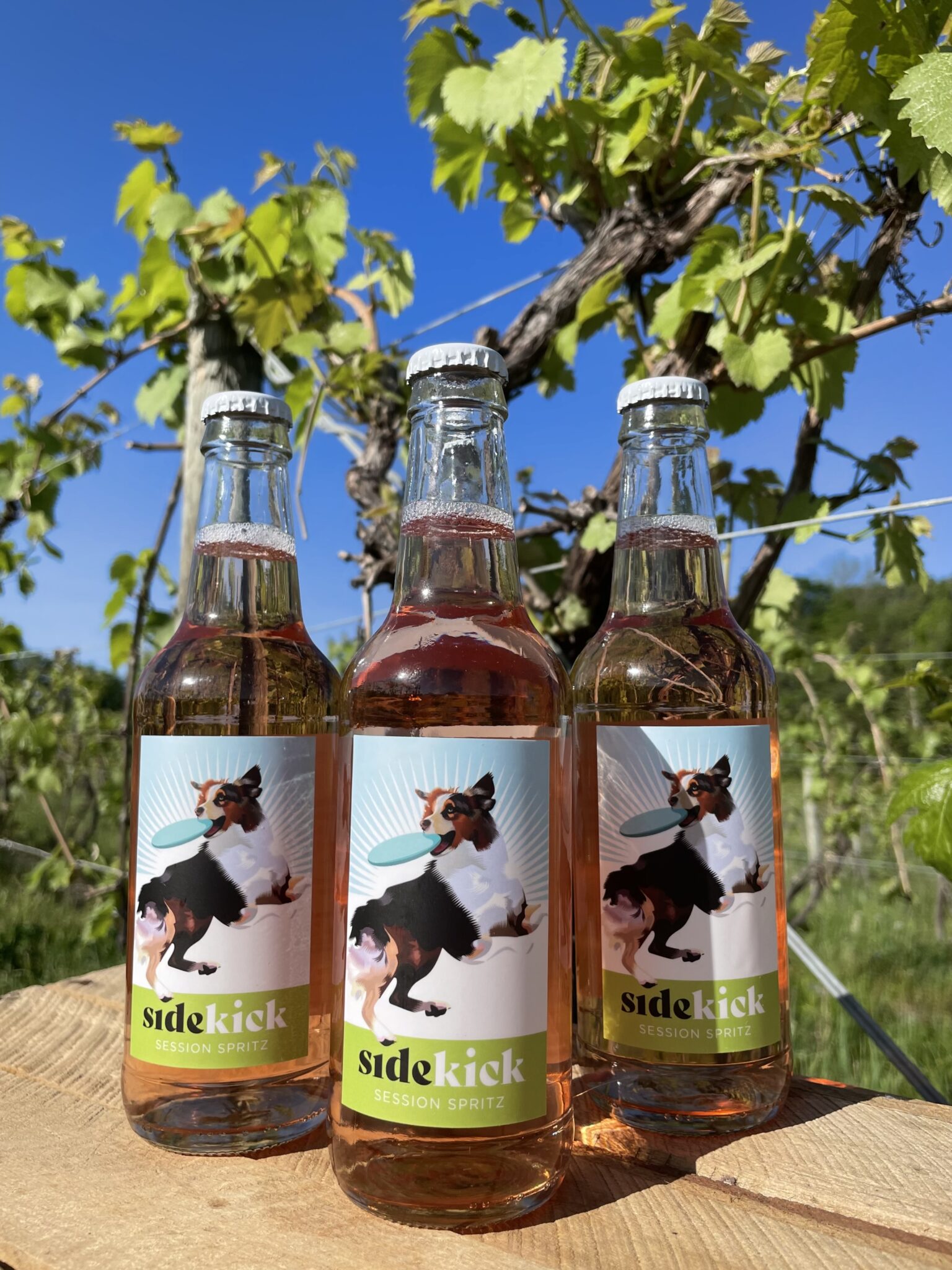 Meet Your Summer Sidekick Lakewood Vineyards